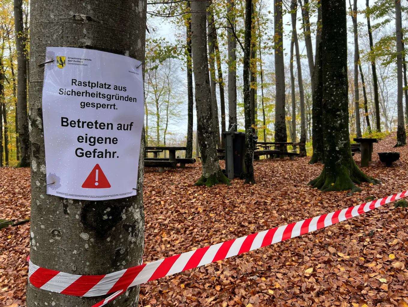 Dulliken sorgt sich um seinen Wald
