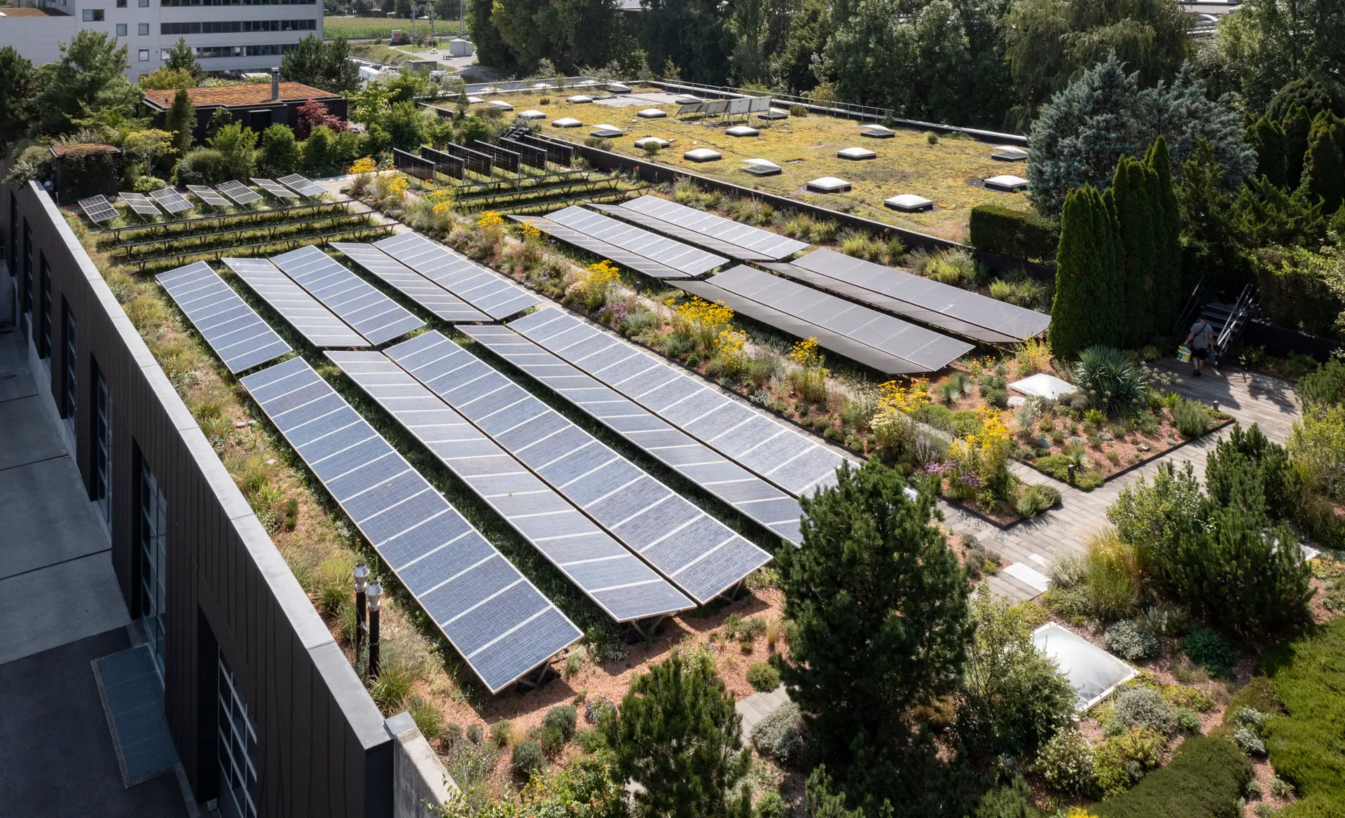 Bienen, Seerosen und Solarpanels: Das unerwartete Biotop über der Fabrik